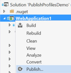 web application project context menu publish option